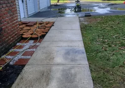 Affordable Tree Expert