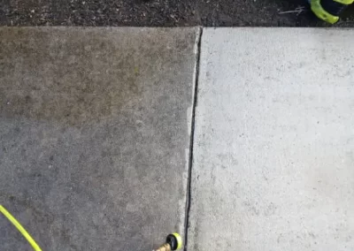 Affordable Tree Service