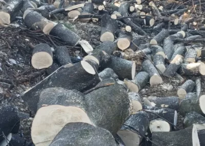 Quality Tree Service