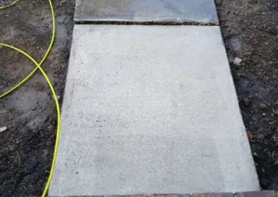 Quality Tree Specialist