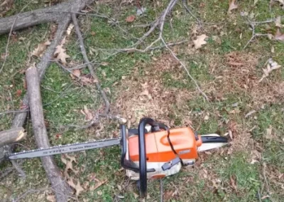 Reliable Tree Specialist