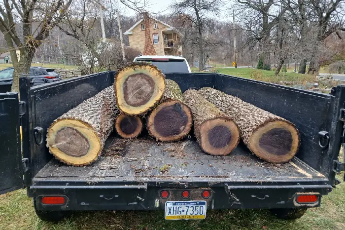 Professional Tree Company in Carlisle, PA