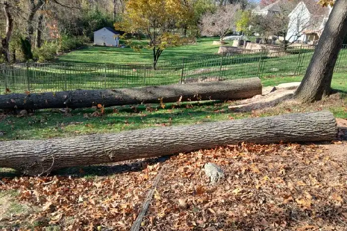 Reliable Tree Cutting