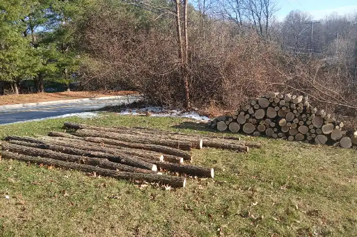 Residential Tree Service Residential Tree Service